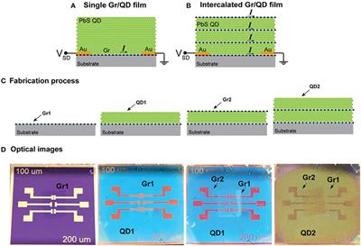 Implementation of Metallic Vertical Interconnect Access in Hybrid Intercalated Graphene/Quantum Dot Photodetector for Improved Charge Collection